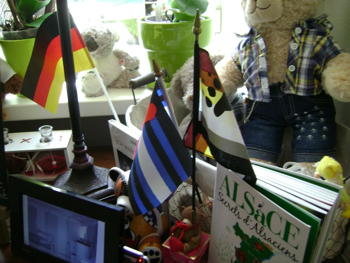 Bed and Breakfast Les Volets Bleus Alsace Vosges Urbes Номер фото