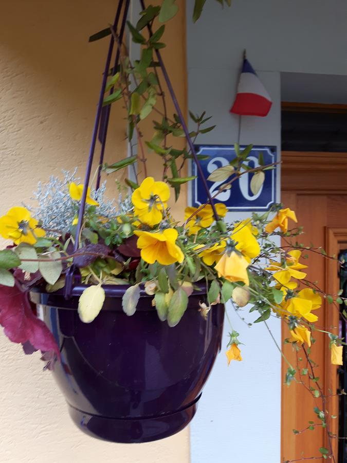 Bed and Breakfast Les Volets Bleus Alsace Vosges Urbes Экстерьер фото